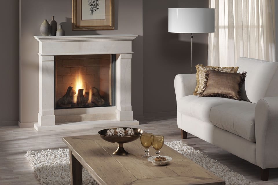 DRU Passeo Balanced Flue Gas Fire